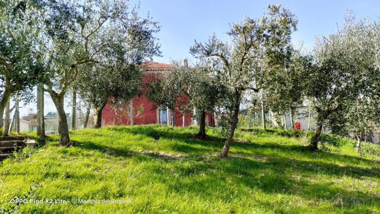 Agriturismo Macchia Dei Briganti - B&B Montefalcione Exterior photo